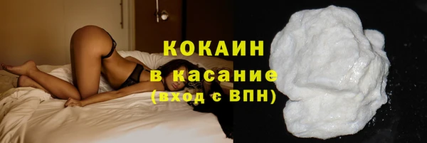 прущие грибы Арсеньев