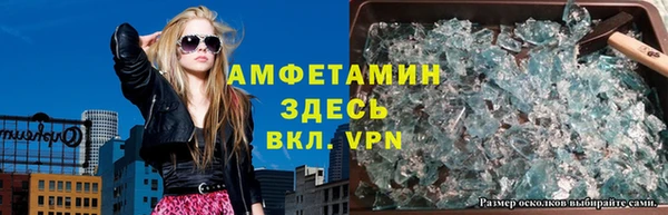прущие грибы Арсеньев