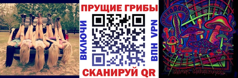 даркнет сайт  Новоаннинский  Галлюциногенные грибы прущие грибы 