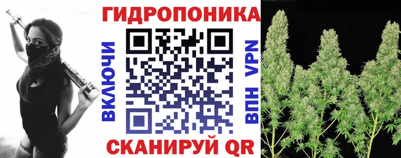 Бошки Шишки конопля  цена   Новоаннинский 